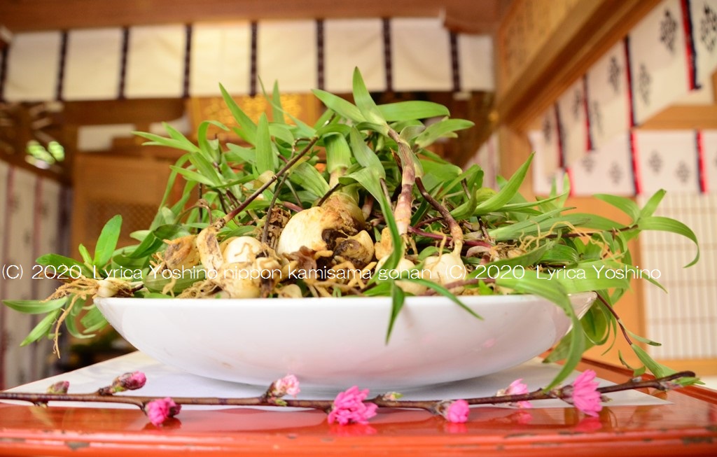 疫病除けのまじない食① 疫病を鎮める「鎮花祭」の神饌 | 旅エッセイ